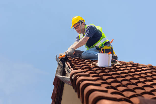 Best Roof Moss and Algae Removal  in , TX